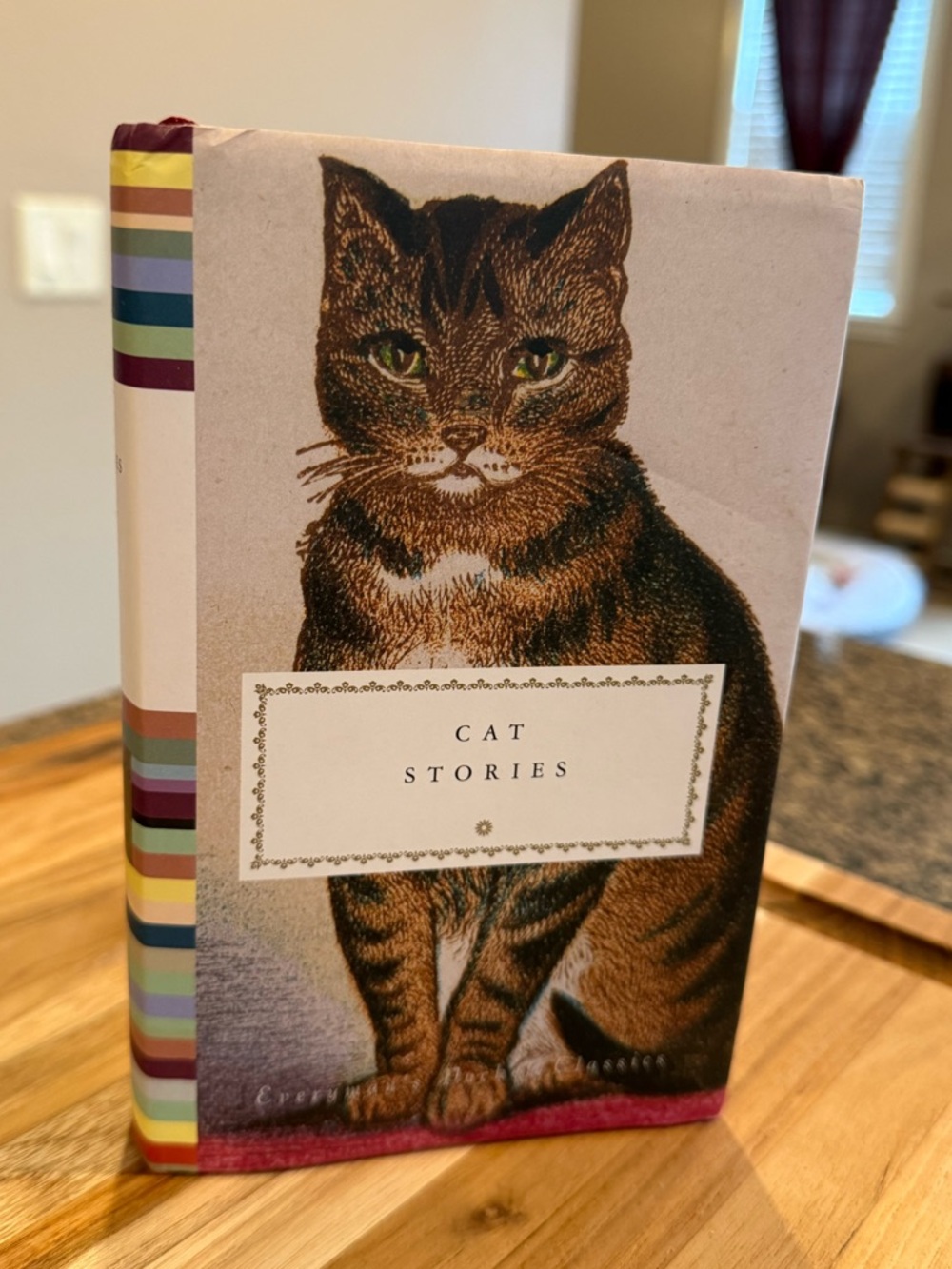 Cat Stories Hardcover Book